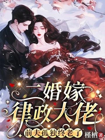 二婚嫁律政大佬,前夫孤独终老了 二婚嫁律政大佬,前夫孤独终老了